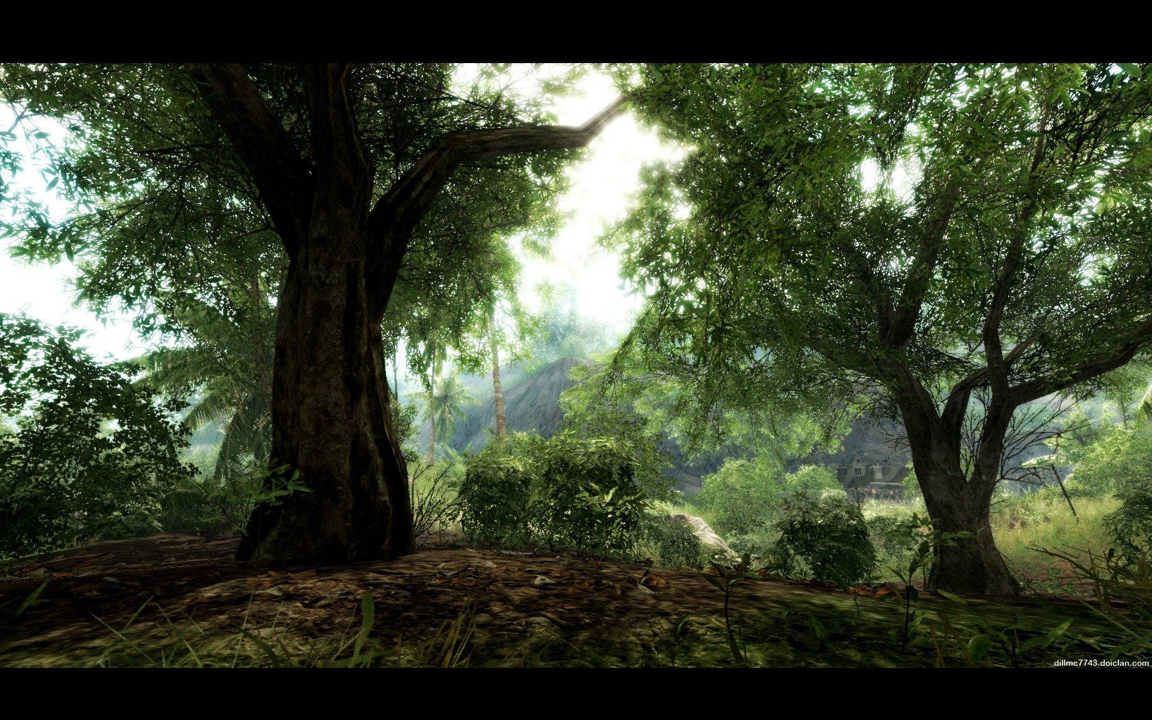 Crysis Warhead Trees Wallpaper