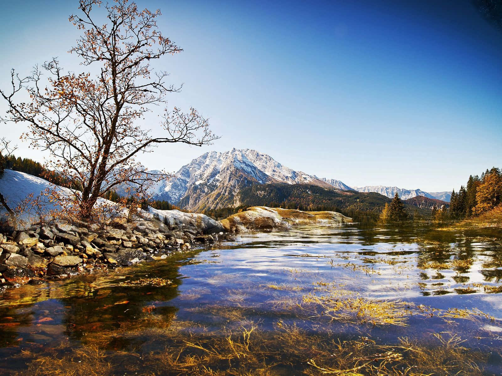 Crystal Clear Spring Water Flowing Amidst Nature Wallpaper