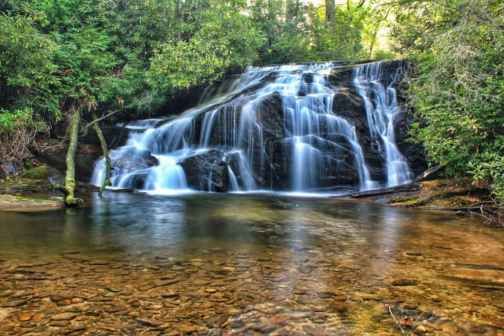 Crystal Clear Spring Water Flowing Amidst Tranquil Nature Wallpaper