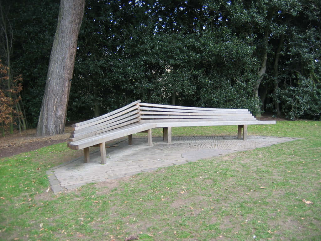 Curved Wooden Bench Royal Botanic Garden Edinburgh Wallpaper