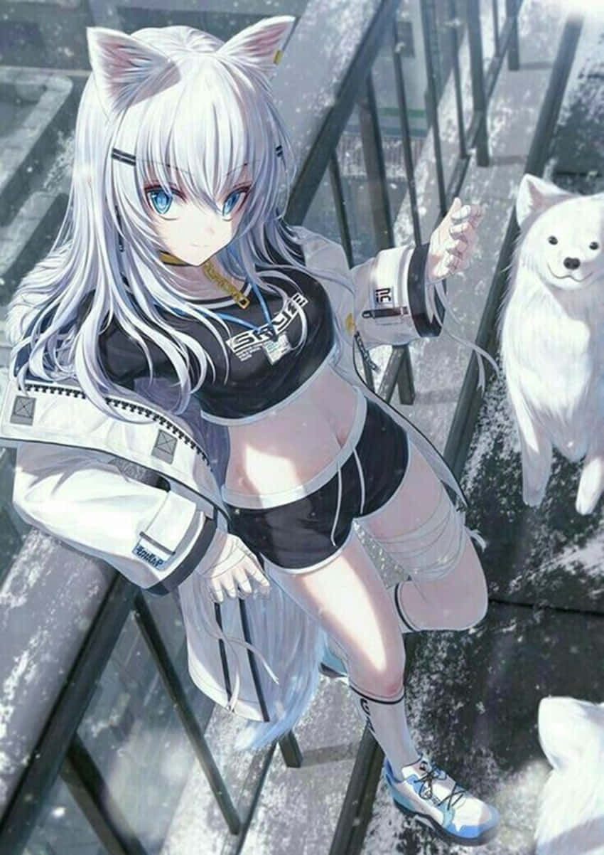 Cute Anime Wolf Girl In A White Aesthetic Wallpaper