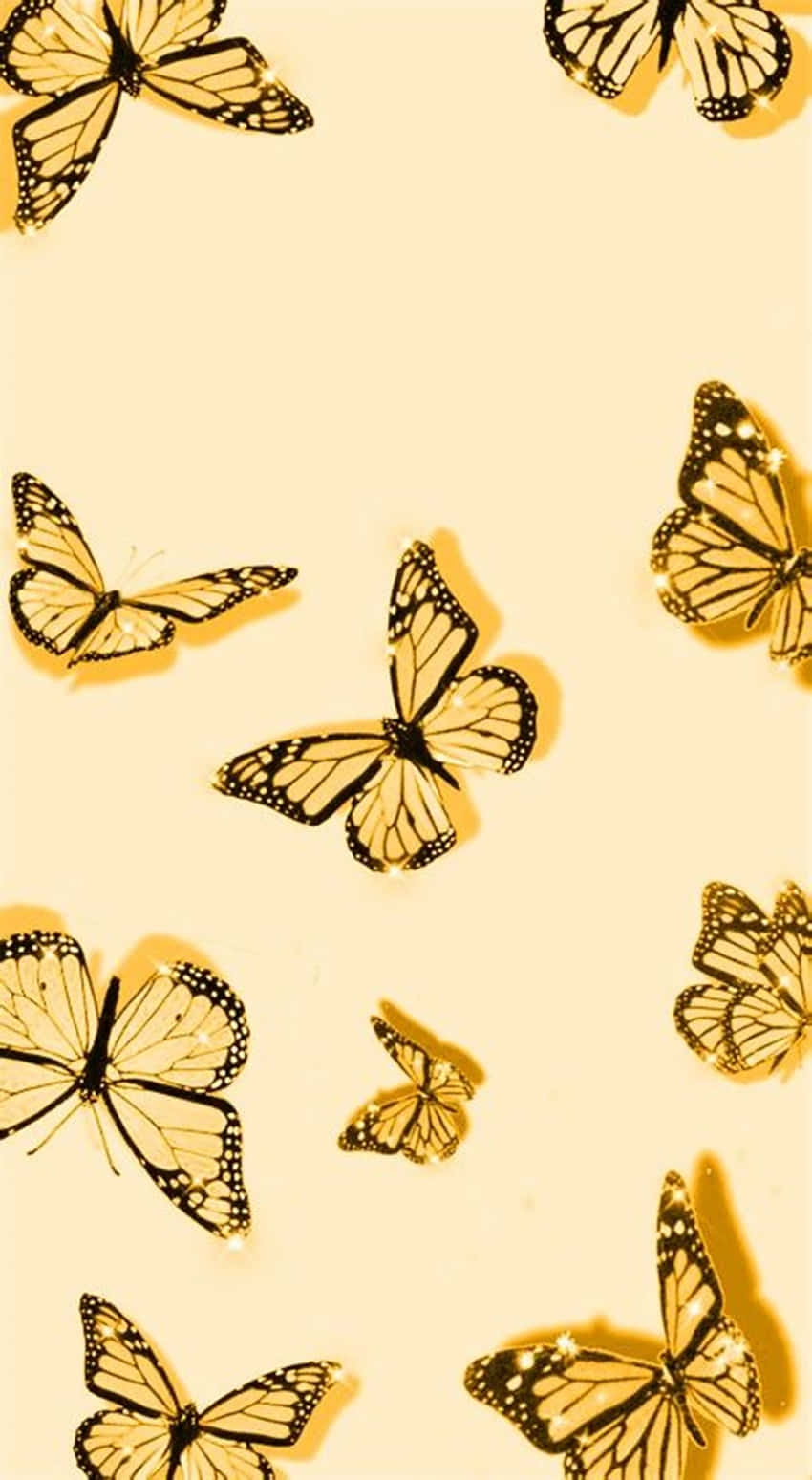 Cute Black Yellow Butterflies Wallpaper