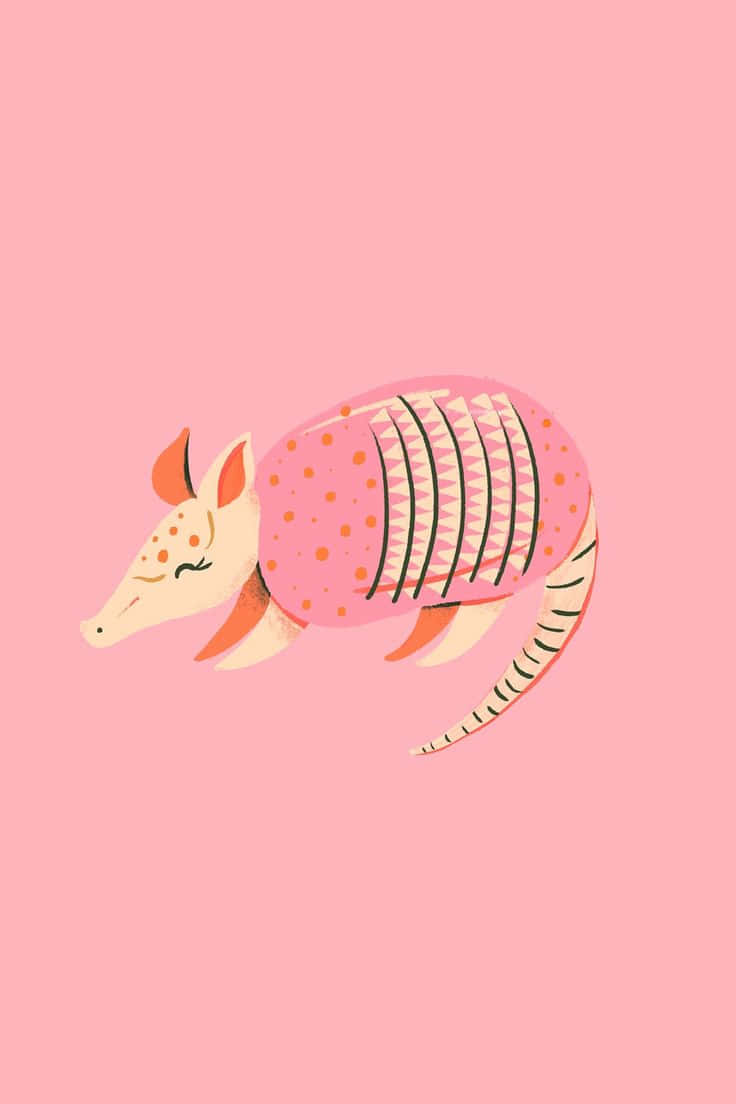 Cute Cartoon Armadillo Pink Background Wallpaper