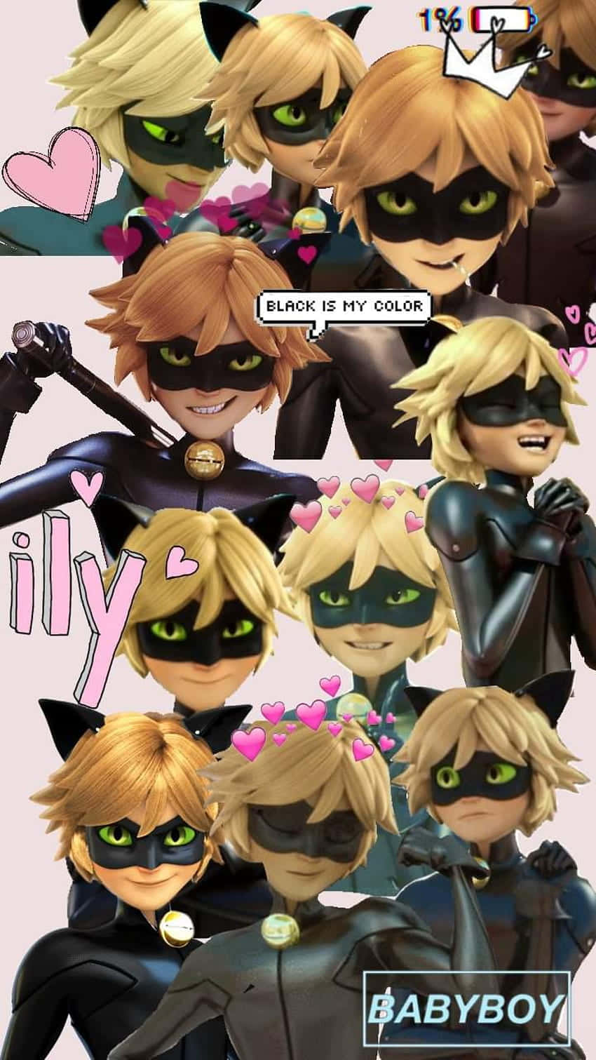 Cute Cat Noir Amazing Collage Wallpaper