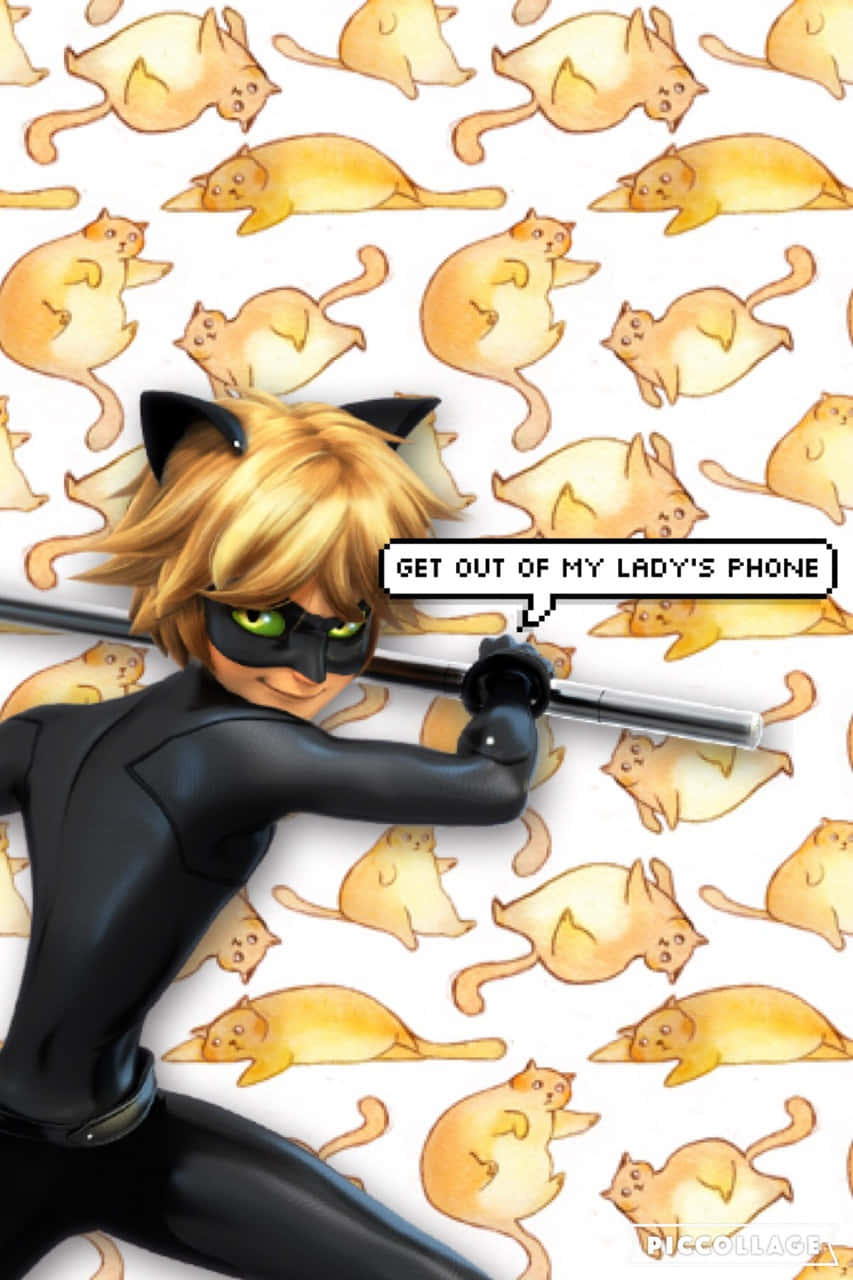 Cute Cat Noir My Lady's Phone Wallpaper