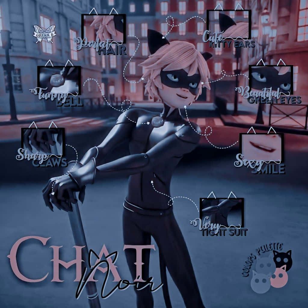 Cute Cat Noir Striking Pose Wallpaper