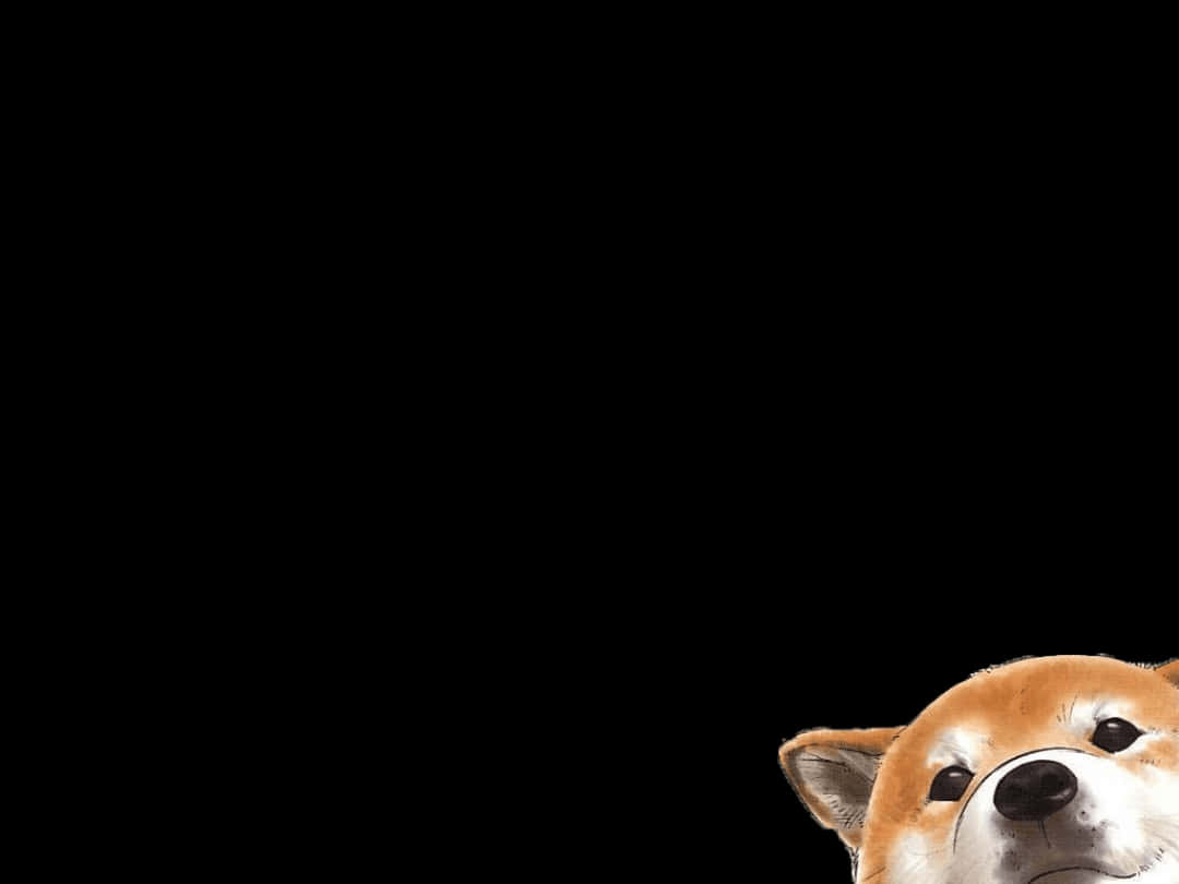 Cute Corgi Peeking Out Wallpaper