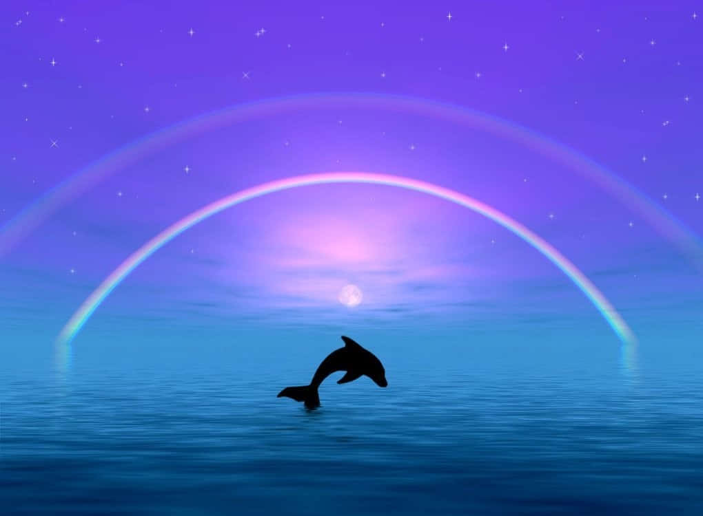 Cute Dolphin Silhouette Wallpaper