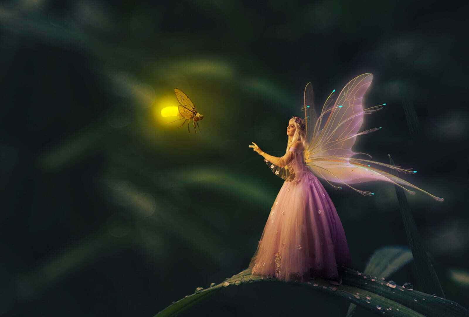 Cute Fairy 1600 X 1081 Wallpaper Wallpaper