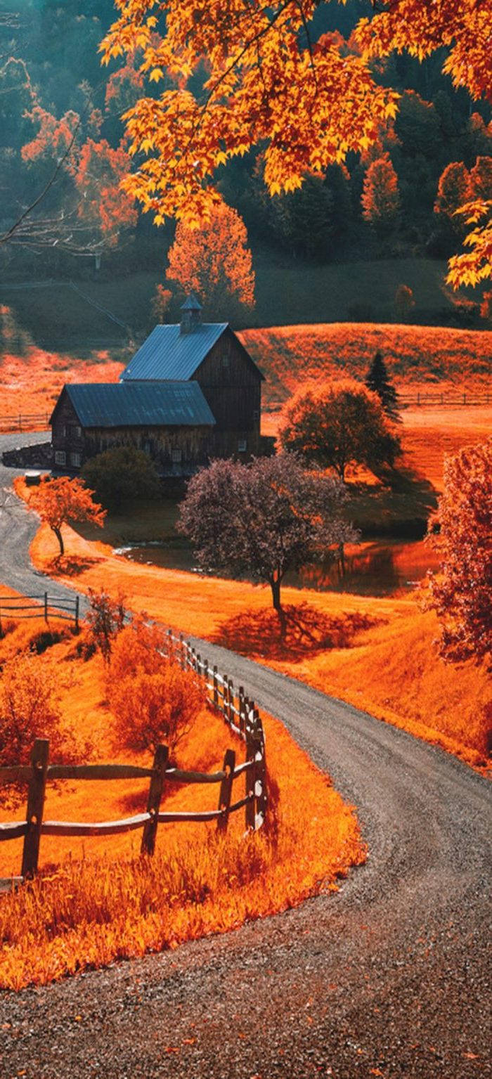 Cute Fall Phone 700 X 1535 Wallpaper