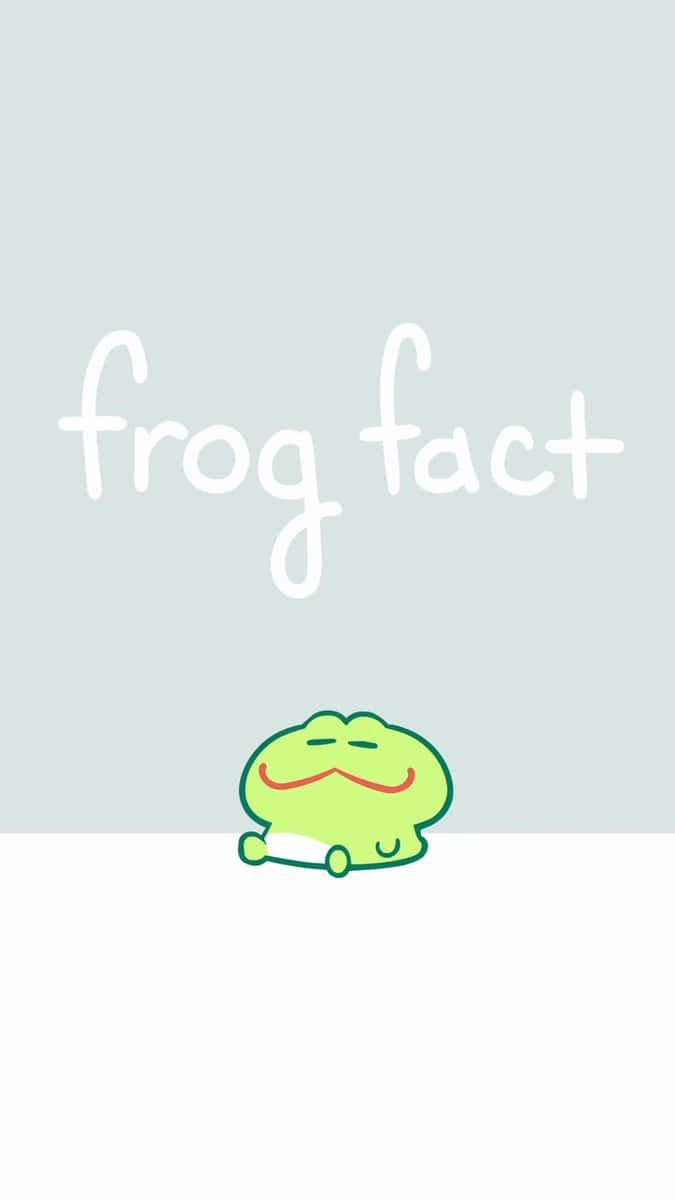 Cute Frog Facti Phone Wallpaper Wallpaper