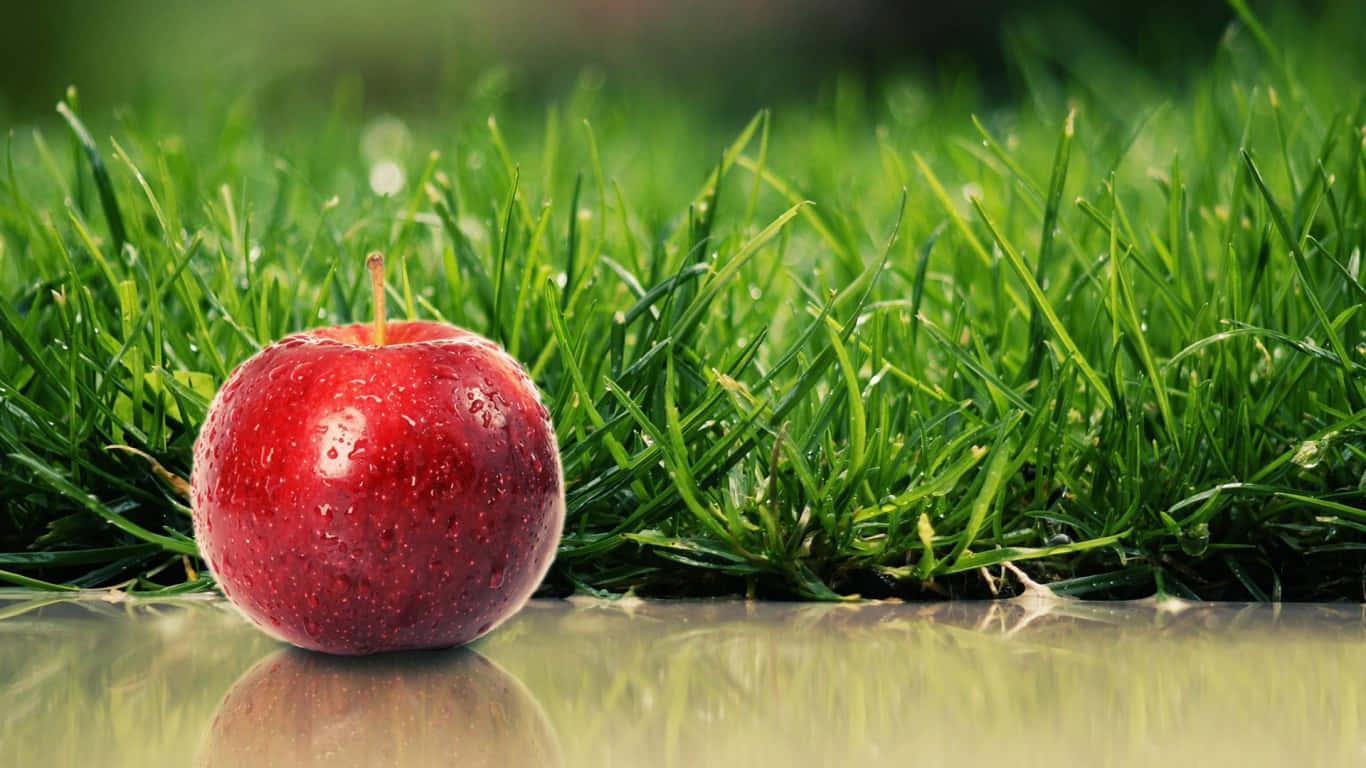 Cute Fruit Red Apple Wallpaper