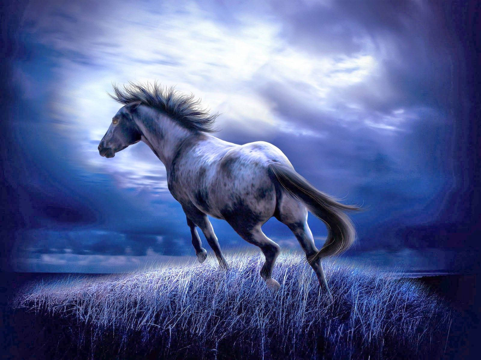 Cute Horse Graphic Art Wallpaper