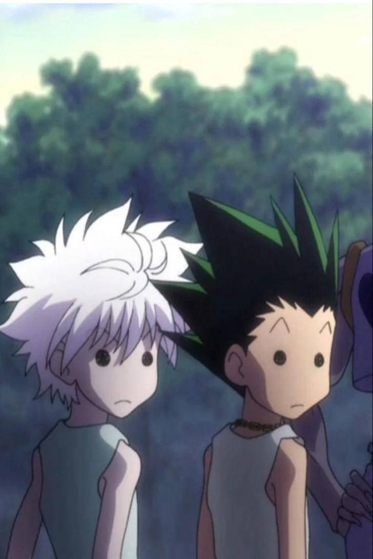 Cute Killua And Gon Looking Funny Wallpaper