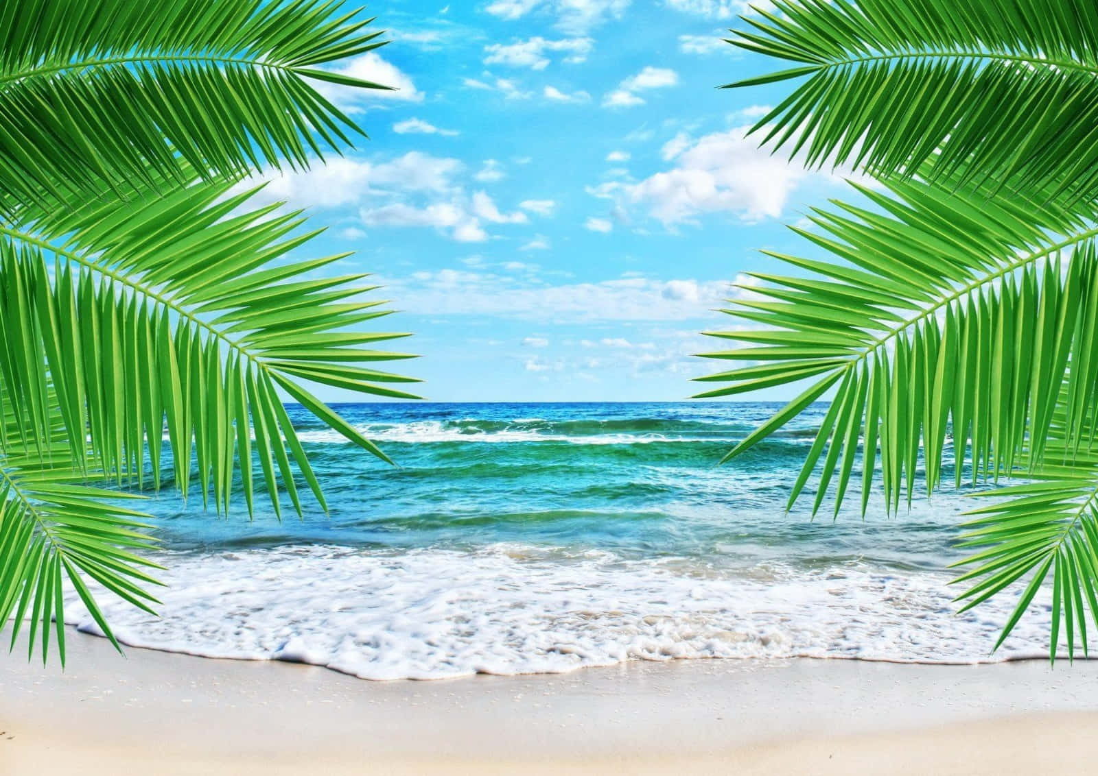 Cute Palm Beach Wallpaper