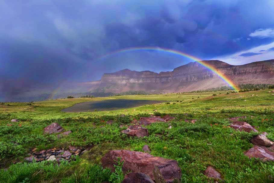 Cute Rainbow On Field Wallpaper