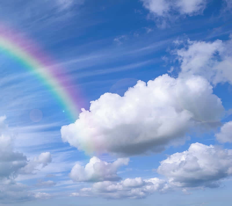 Cute Rainbow With Sunlight Wallpaper