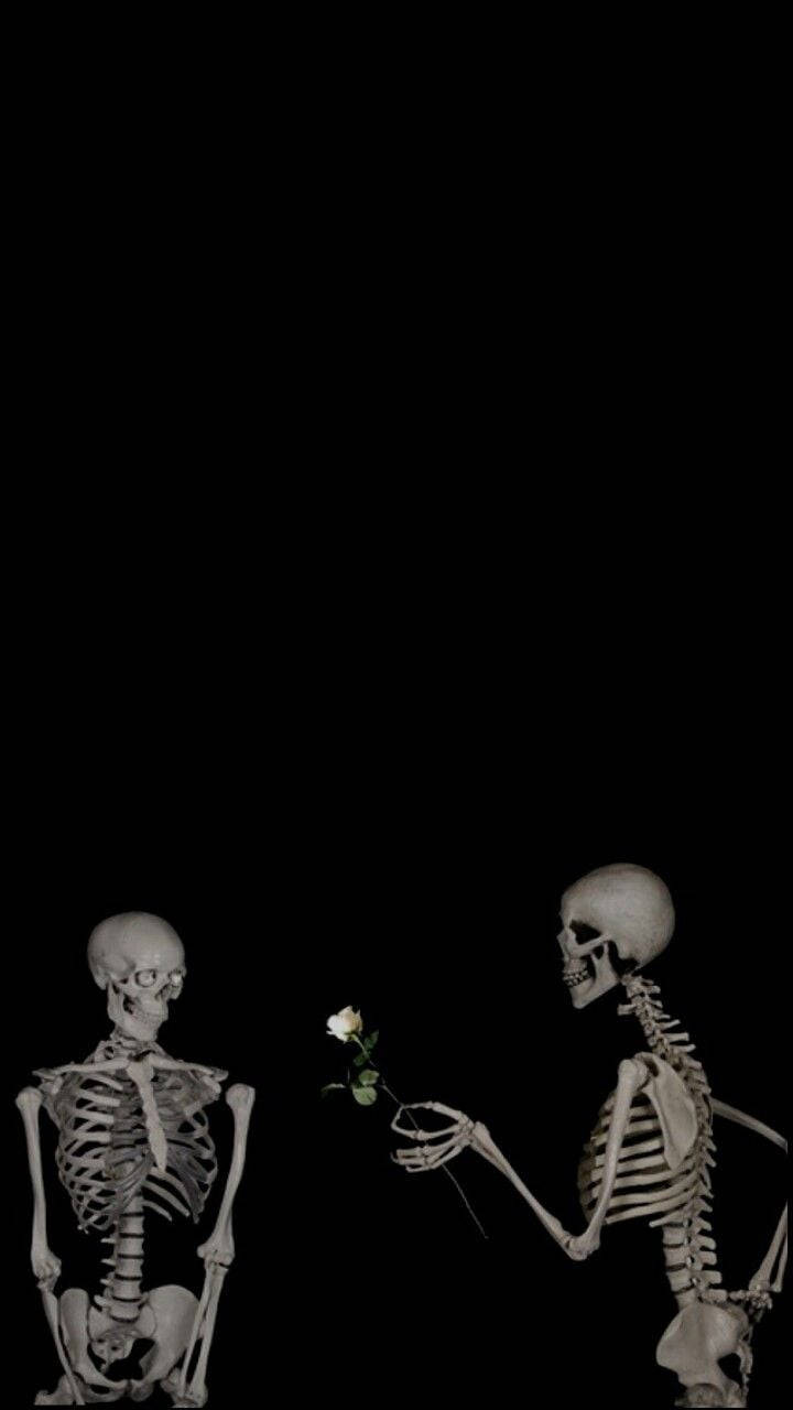 Cute Skeleton Lovers Wallpaper