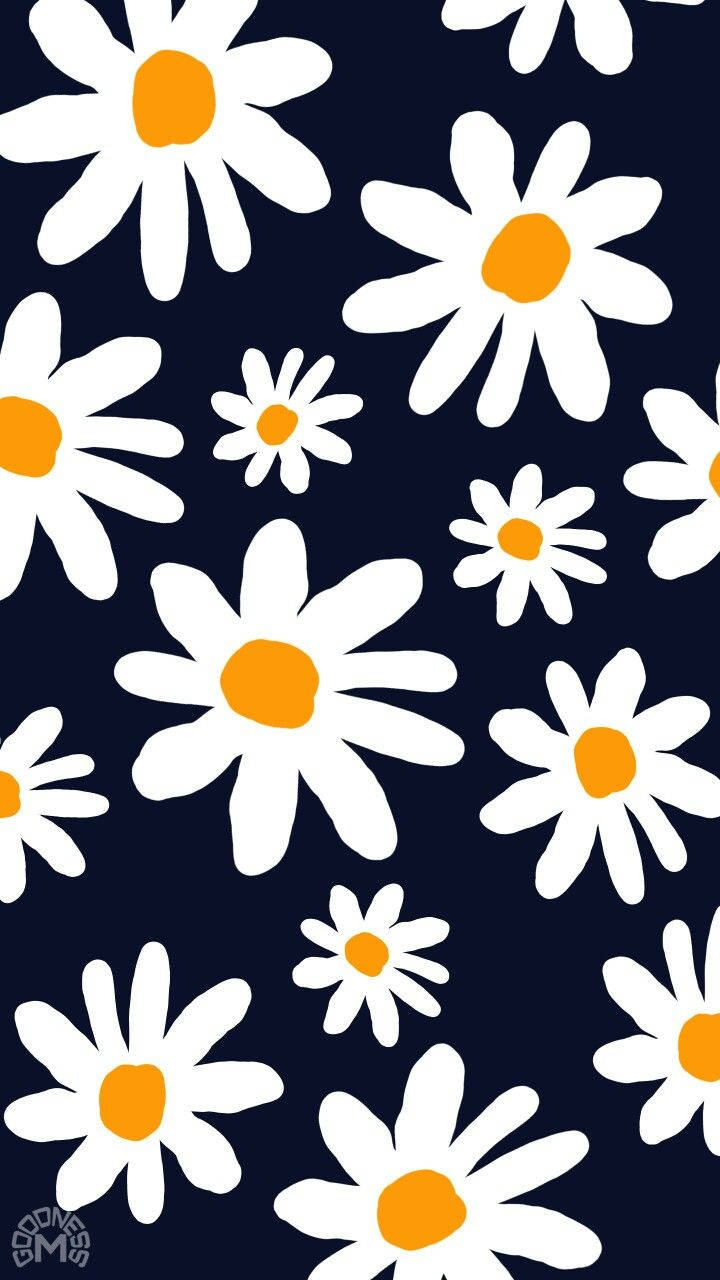 Daisy Iphone In Dark Blue Background Wallpaper