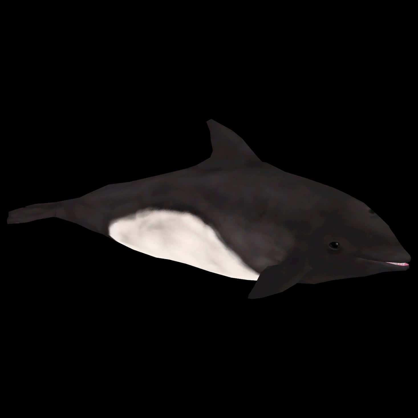 Dalls Porpoise Black Background Wallpaper