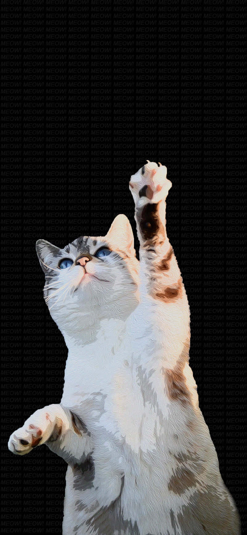 Dancing Cat Raising Paw.jpg Wallpaper