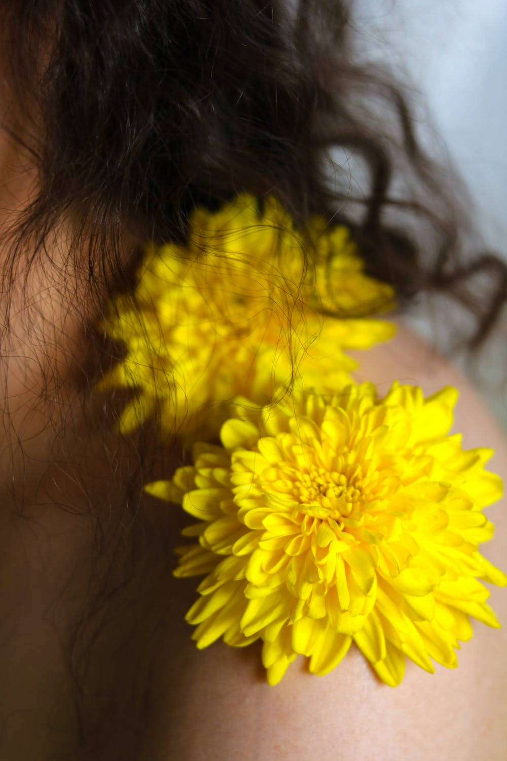 Dandelions Iphone 11 Pro 4k Wallpaper