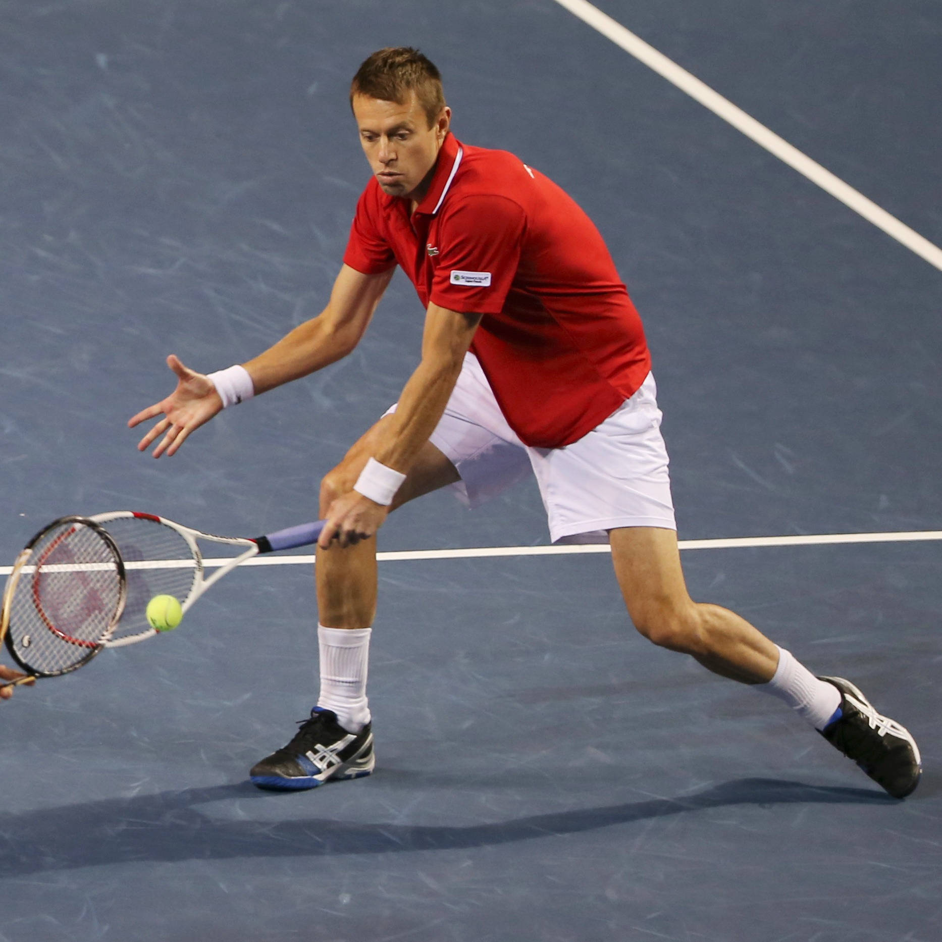 Daniel Nestor Hitting Racket Wallpaper