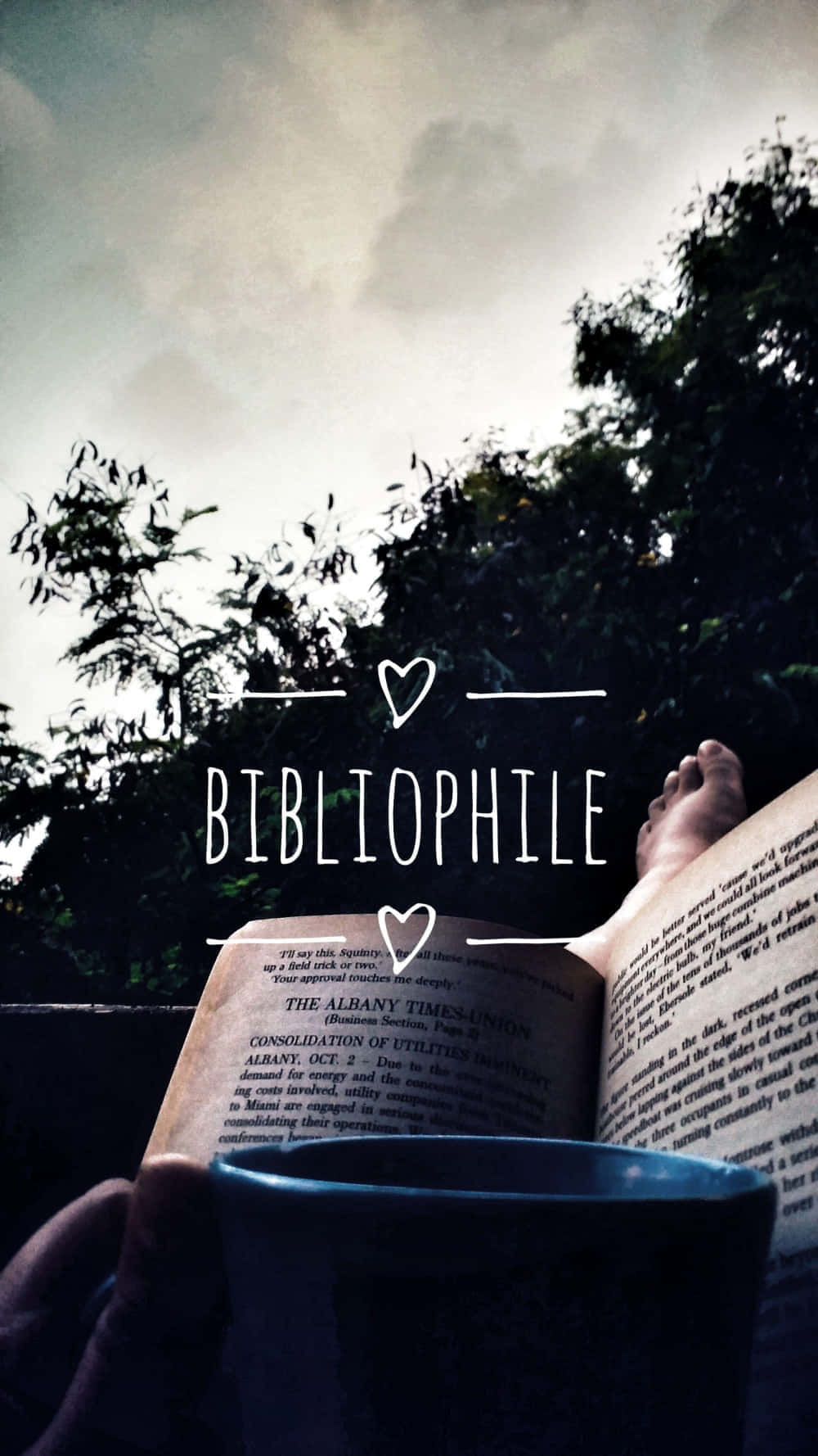 Dark Bibliophile Reading Wallpaper