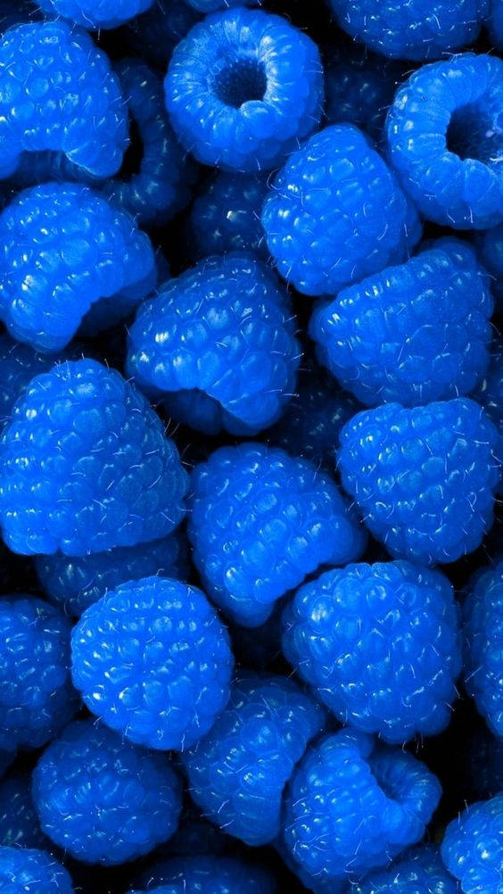 Dark Blue Aesthetic Tumblr Raspberries Wallpaper