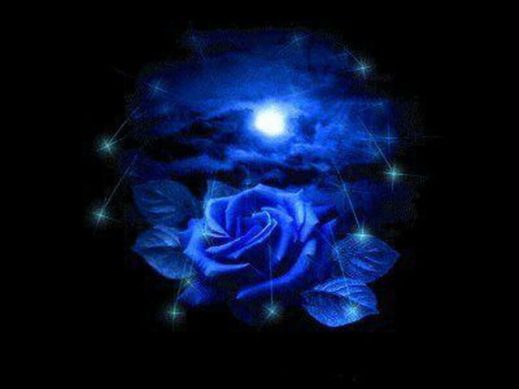 Dark Blue Rose Abstract Wallpaper