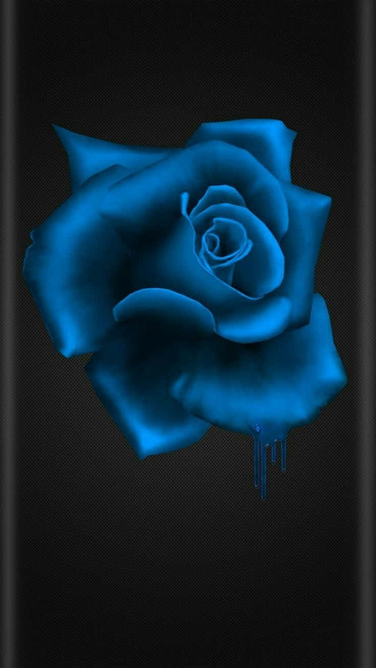 Dark Blue Rose Abstract 736 X 1308 Wallpaper