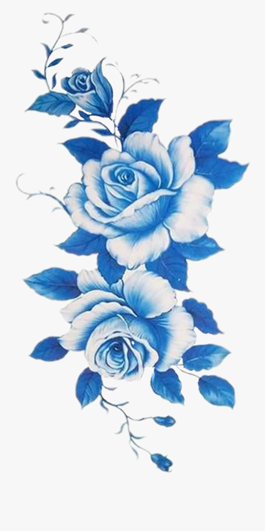 Dark Blue Rose Abstract Wallpaper