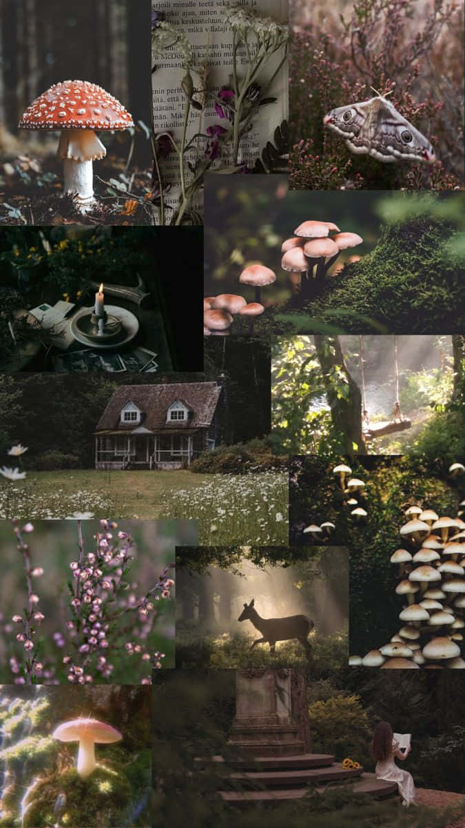 Dark Cottagecore Aesthetic Collage Wallpaper