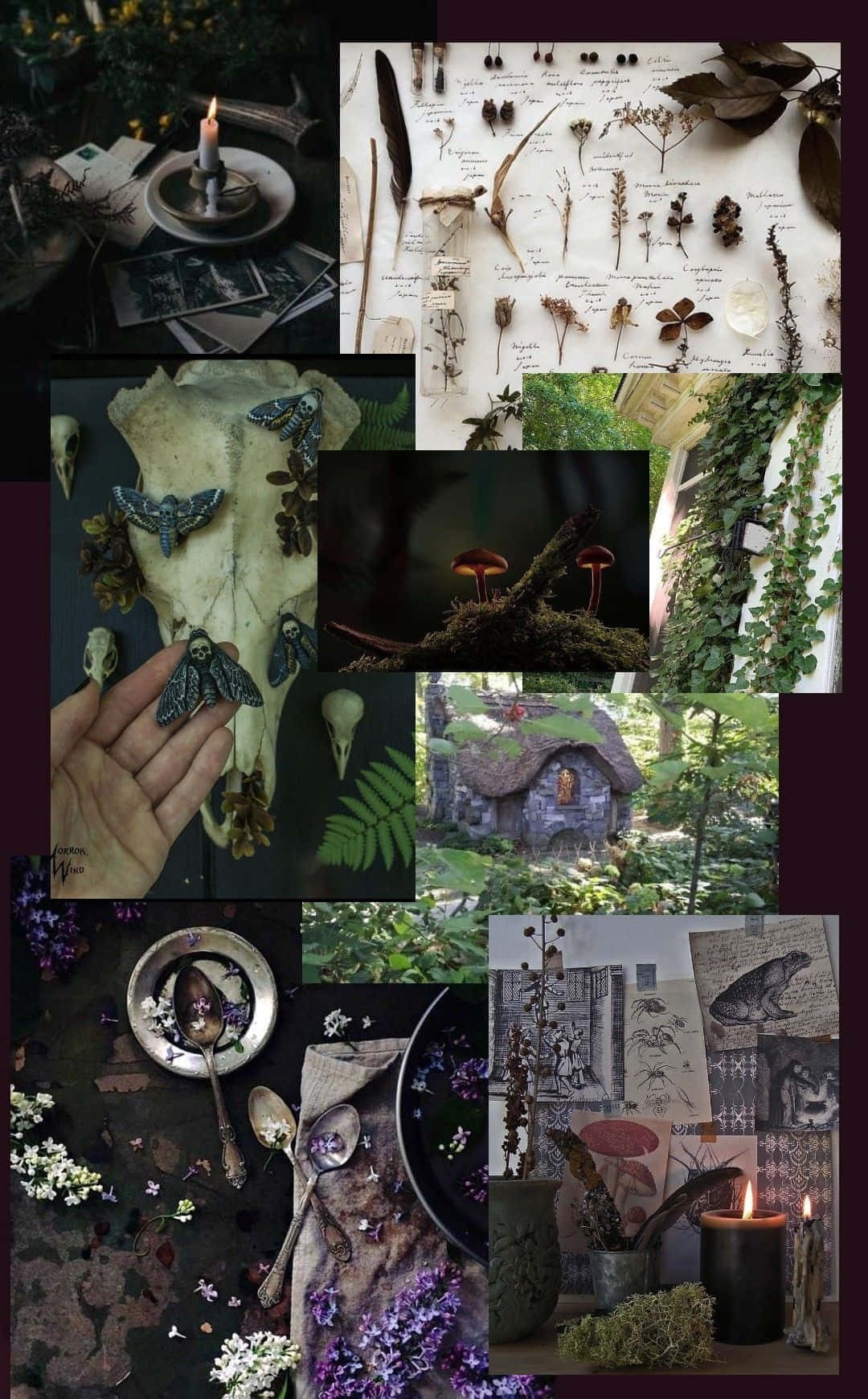 Dark Cottagecore Collage Aesthetic.jpg Wallpaper