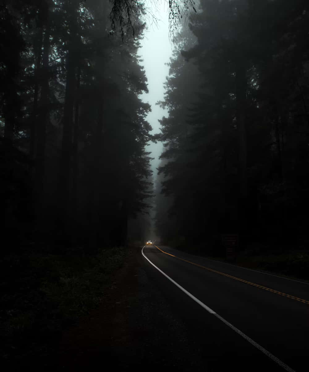 Dark Forest Road Misty Atmosphere Wallpaper