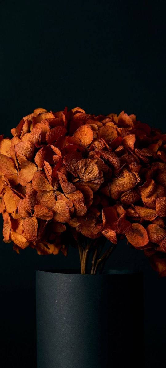 Dark Orange Floral Arrangement Wallpaper