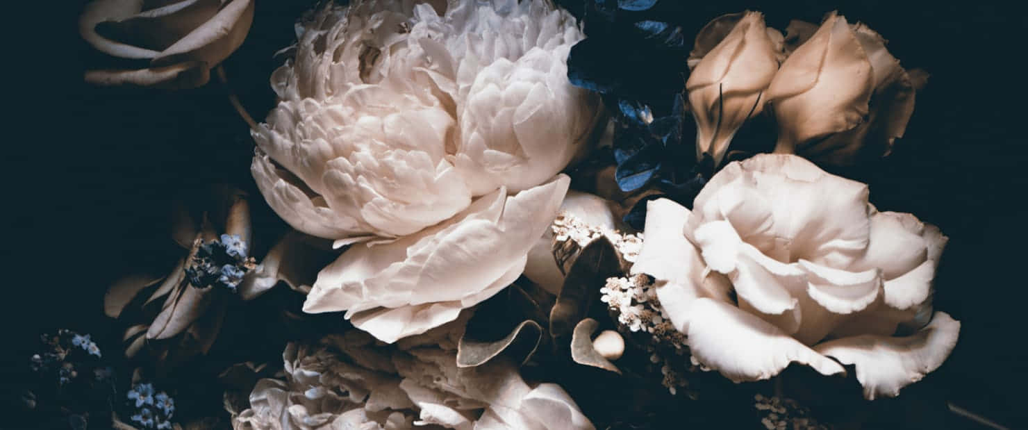 Dark Romantic Floral Display.jpg Wallpaper