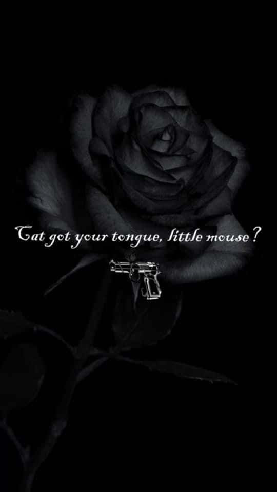 Dark_ Rose_and_ Mysterious_ Message.jpg Wallpaper