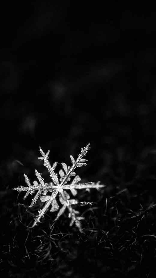 Dark Winter Snowflake.jpg Wallpaper