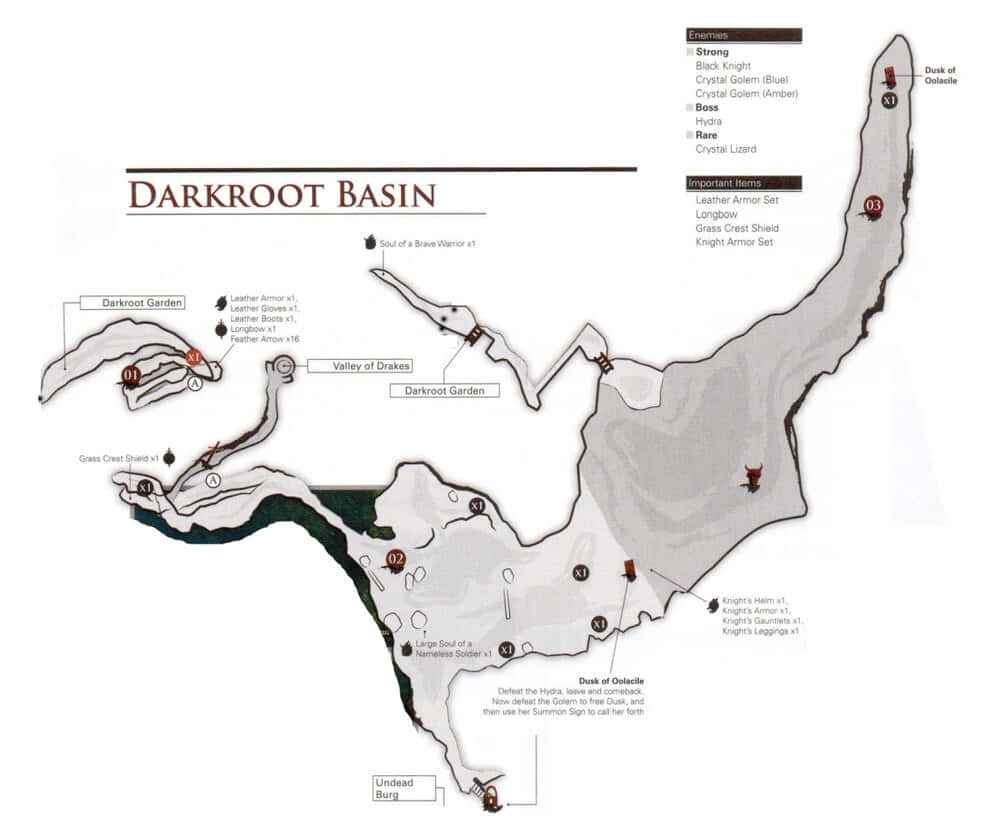 Darkroot Basin Map Dark Souls Wallpaper