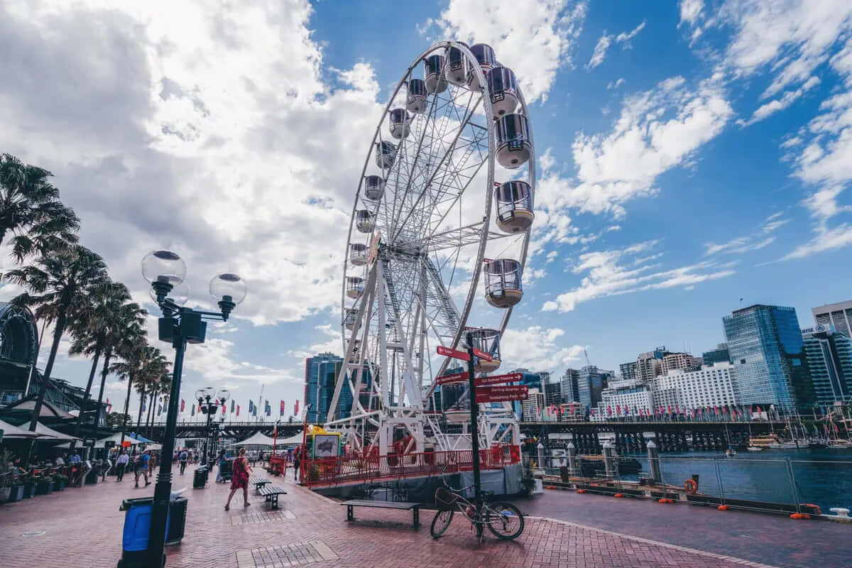 Darling Harbor Ferris Wheel Sydney Wallpaper