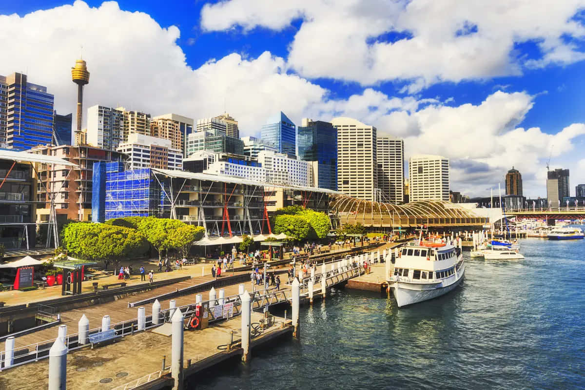 Darling Harbour Sydney Waterfront View Wallpaper