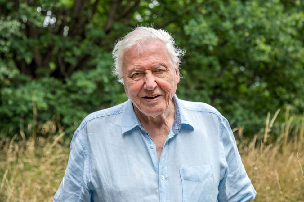 David Attenborough Wallpaper