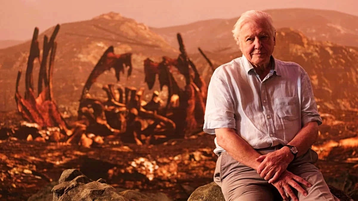 David Attenborough Wallpaper