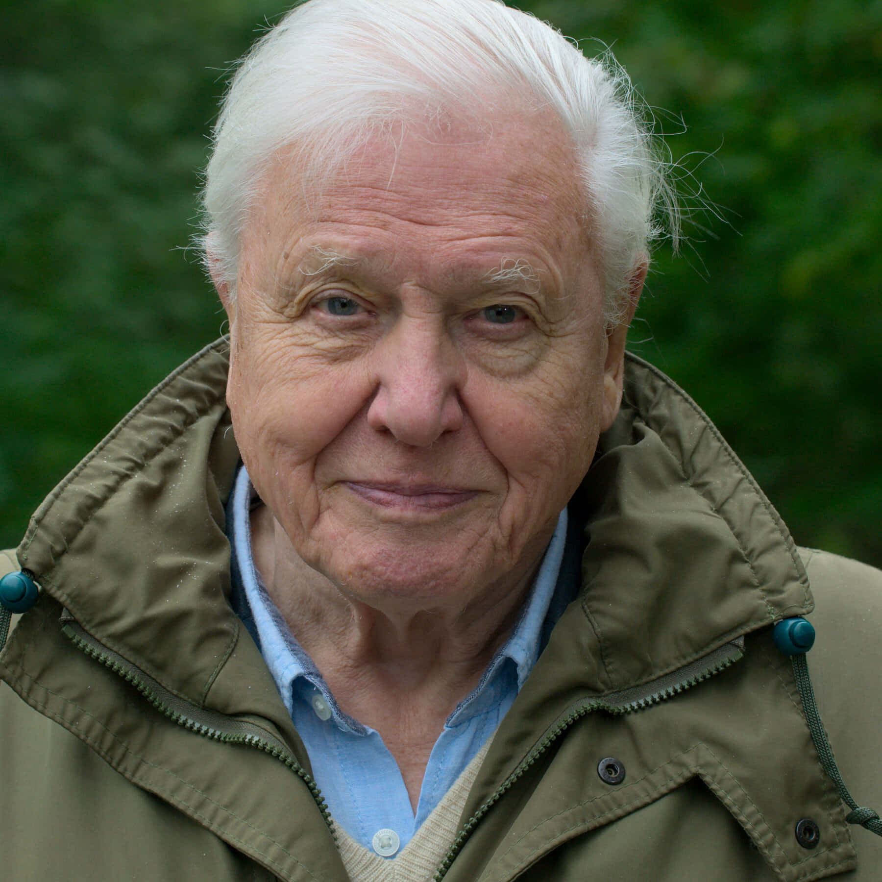 David Attenborough Wallpaper