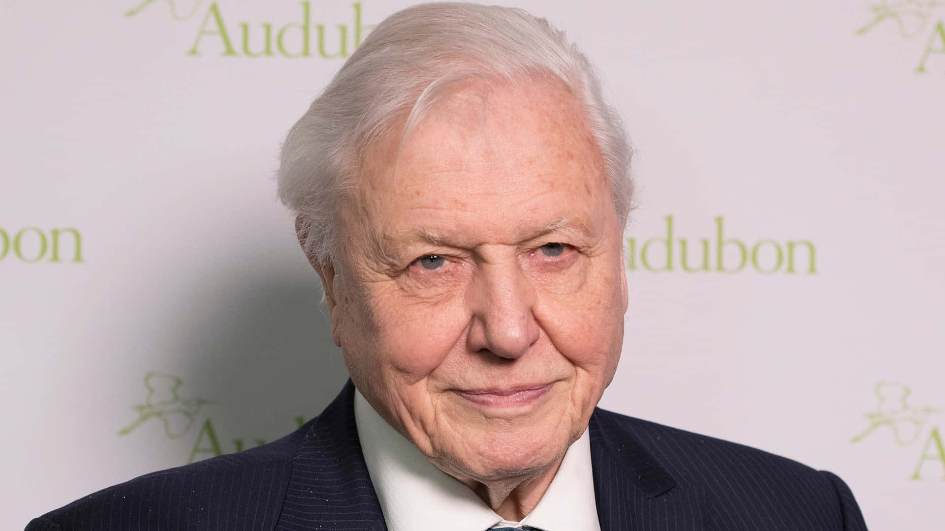 David Attenborough Wallpaper