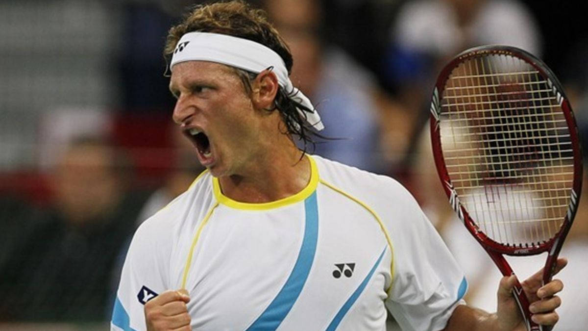 David Nalbandian, A Gem Of The Tennis World Wallpaper