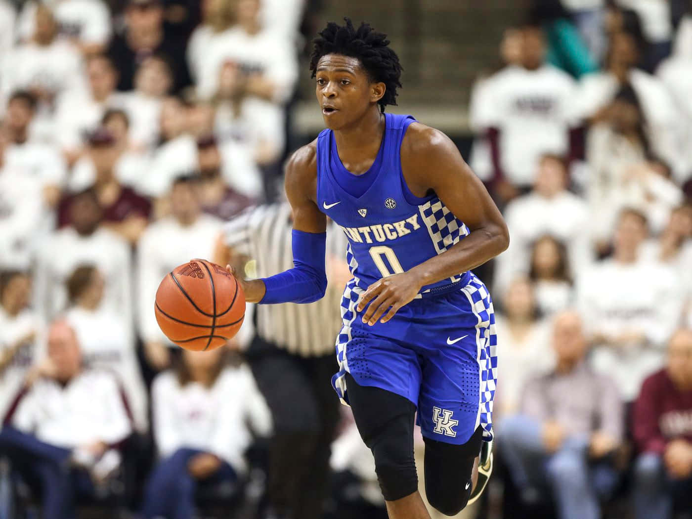 De'aaron Fox Kentucky Wildcats Blue Jersey Wallpaper