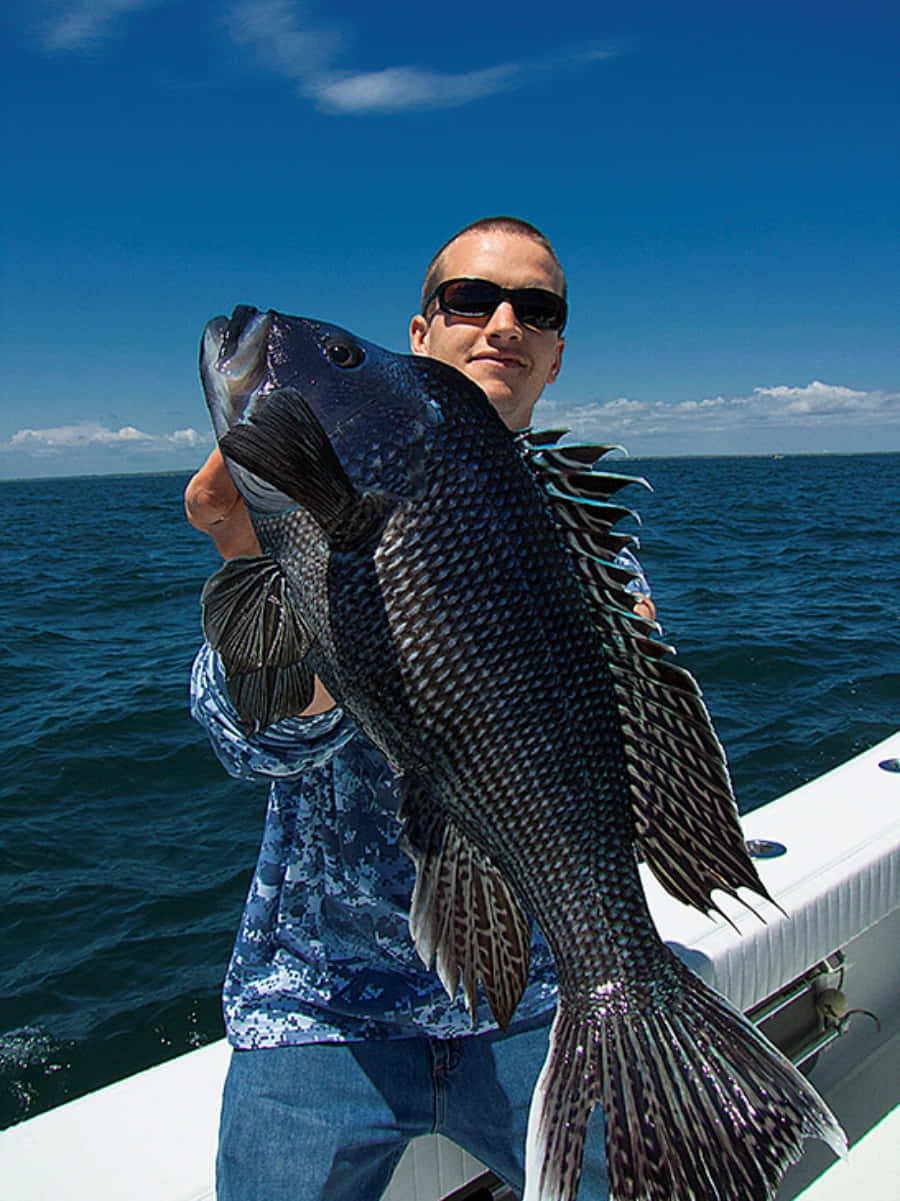 Delicious Black Sea Bass On A Plate Wallpaper