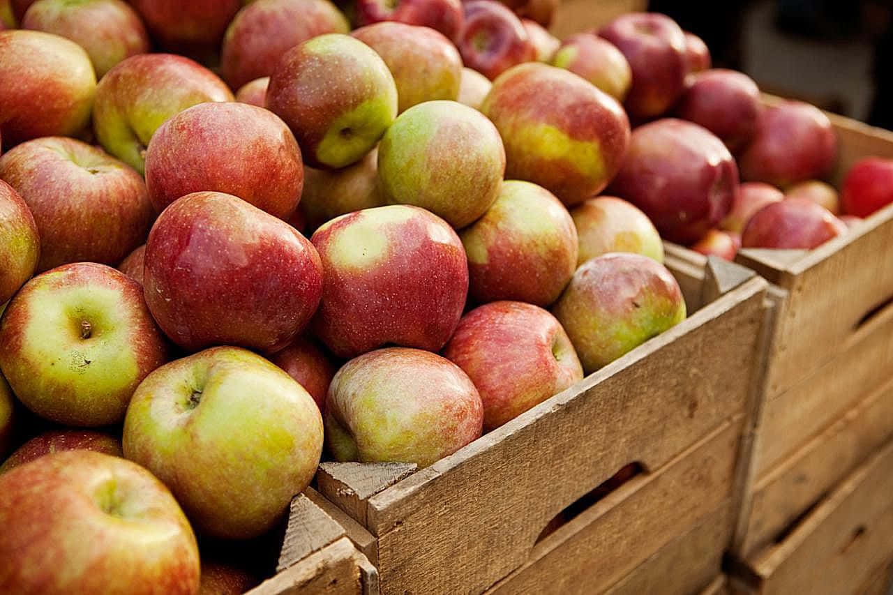 Delicious Fall Apples Gathered From An Autumn Harvest Wallpaper